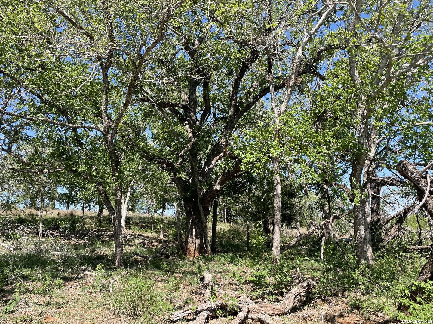 10306 Fm 1681 Nixon TX 78140