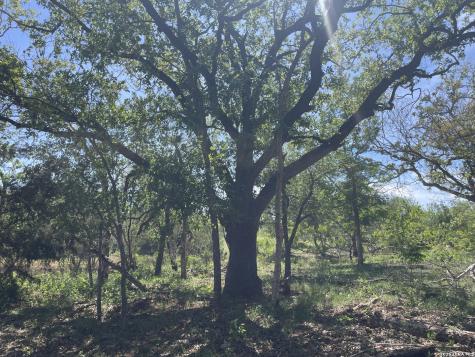 10306 Fm 1681 Nixon TX 78140
