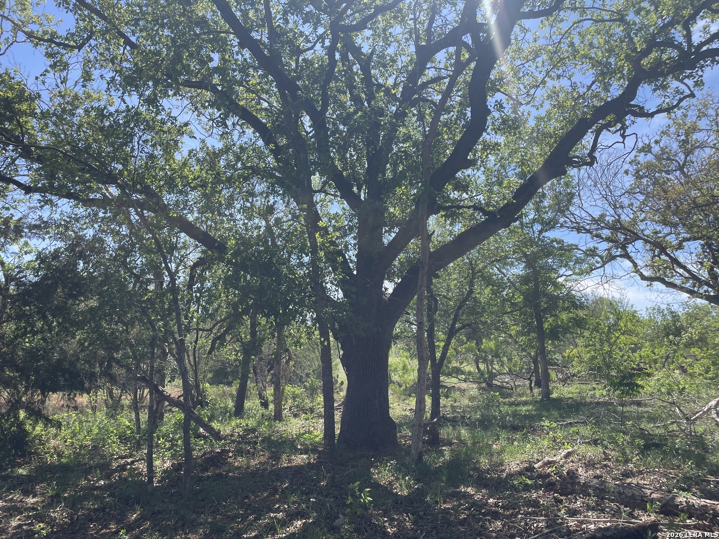 10306 Fm 1681 Nixon TX 78140