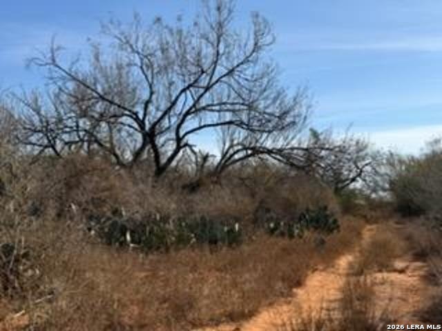 1160 W Highway 85 Dilley TX 78017