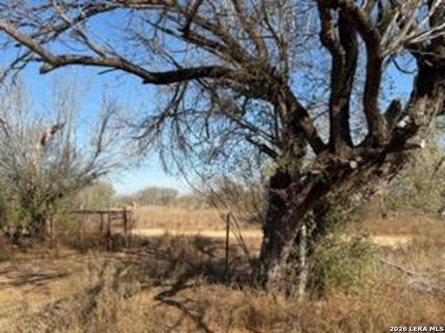 1160 W Highway 85 Dilley TX 78017