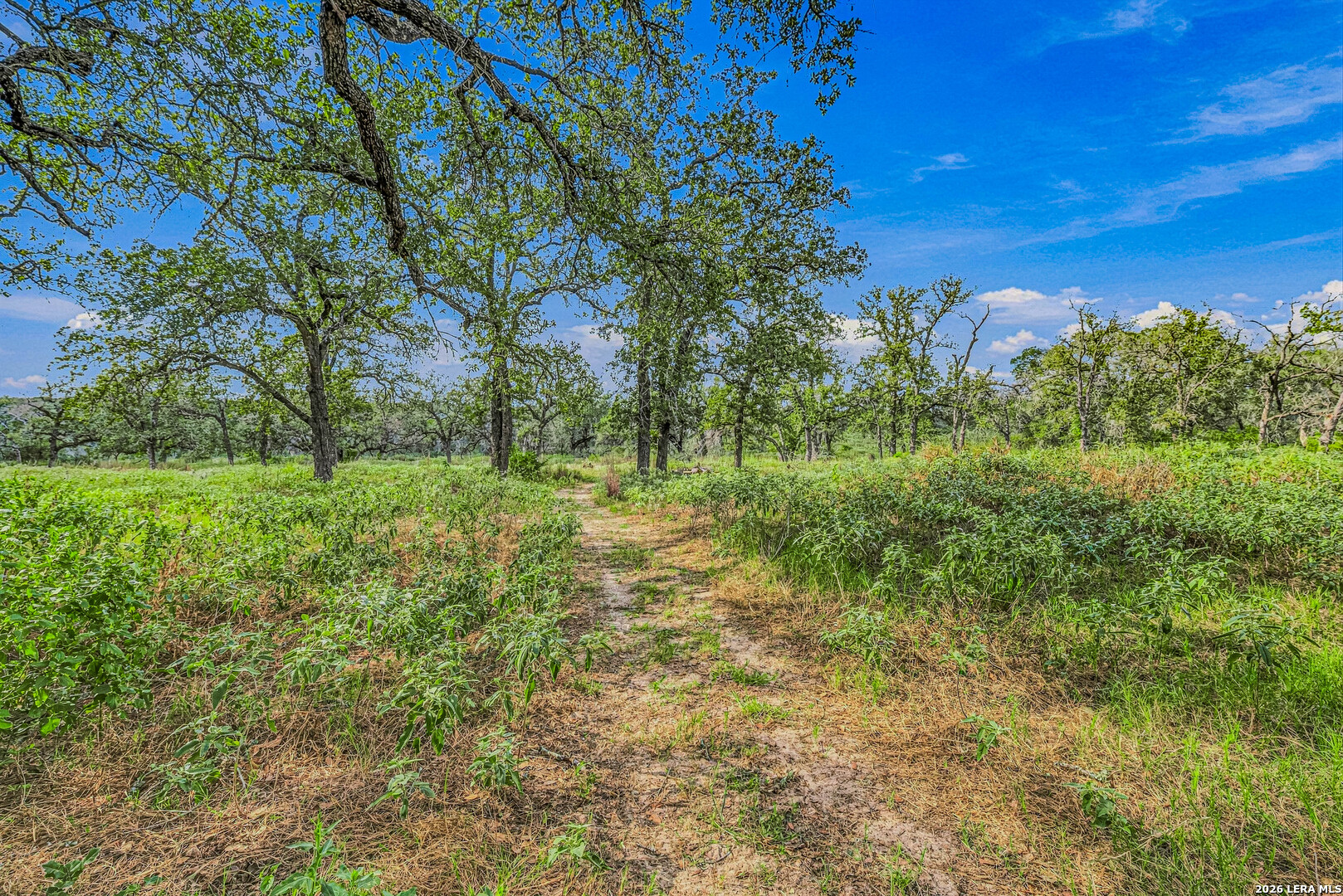 837 Paddy Floresville TX 78114