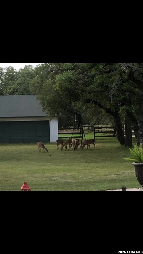 837 Paddy Floresville TX 78114
