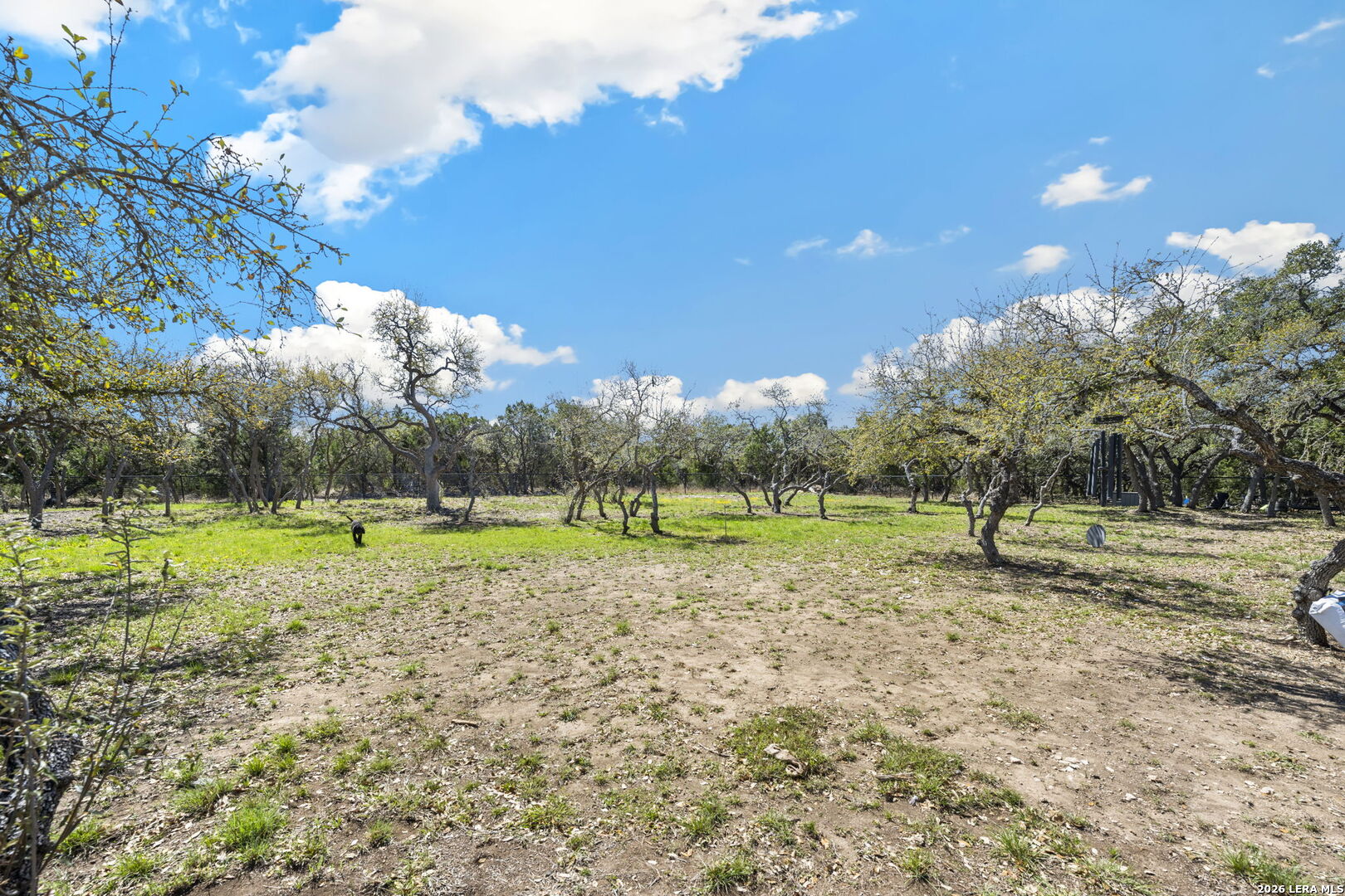 979 Belle Oaks Bulverde TX 78163