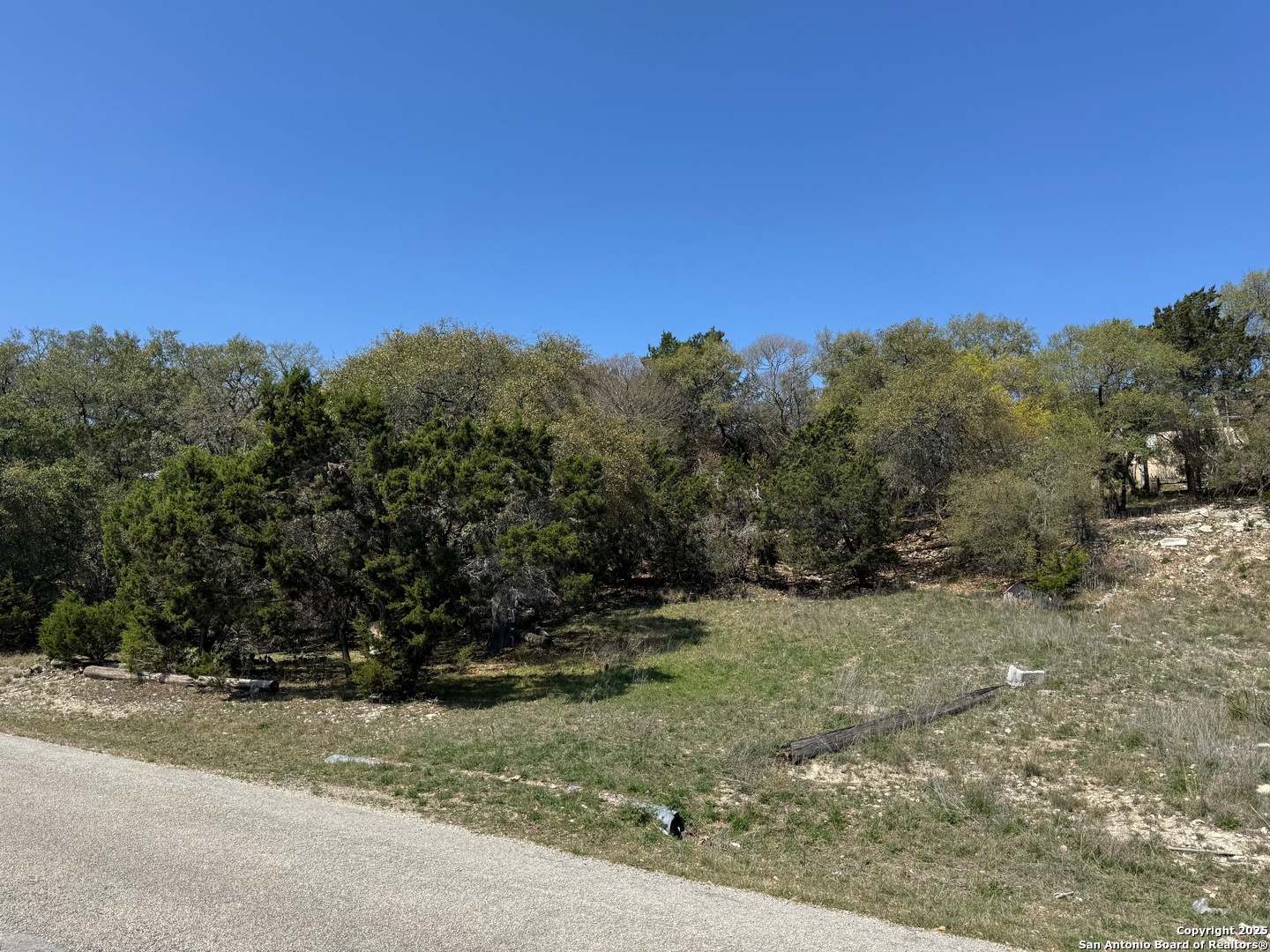 1403 Bonnyview Drive Canyon Lake TX 78133
