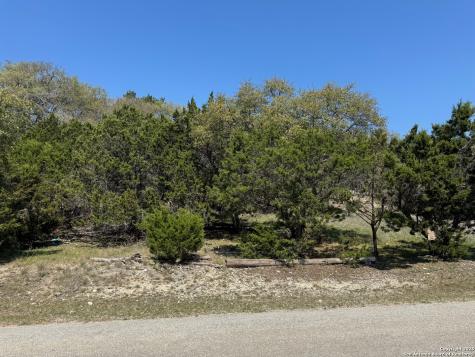 1403 Bonnyview Drive Canyon Lake TX 78133