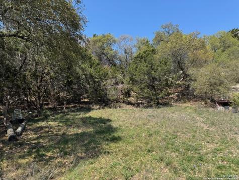 1403 Bonnyview Drive Canyon Lake TX 78133