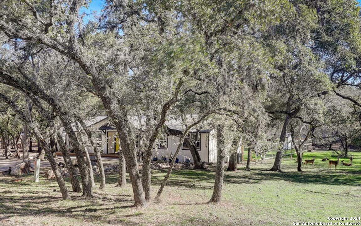 17122 Springhill Drive San Antonio TX 78232
