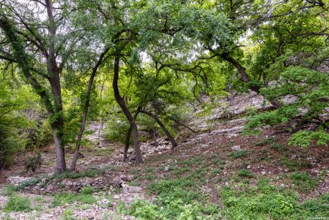 2985 Highway 39 Hunt TX 78024