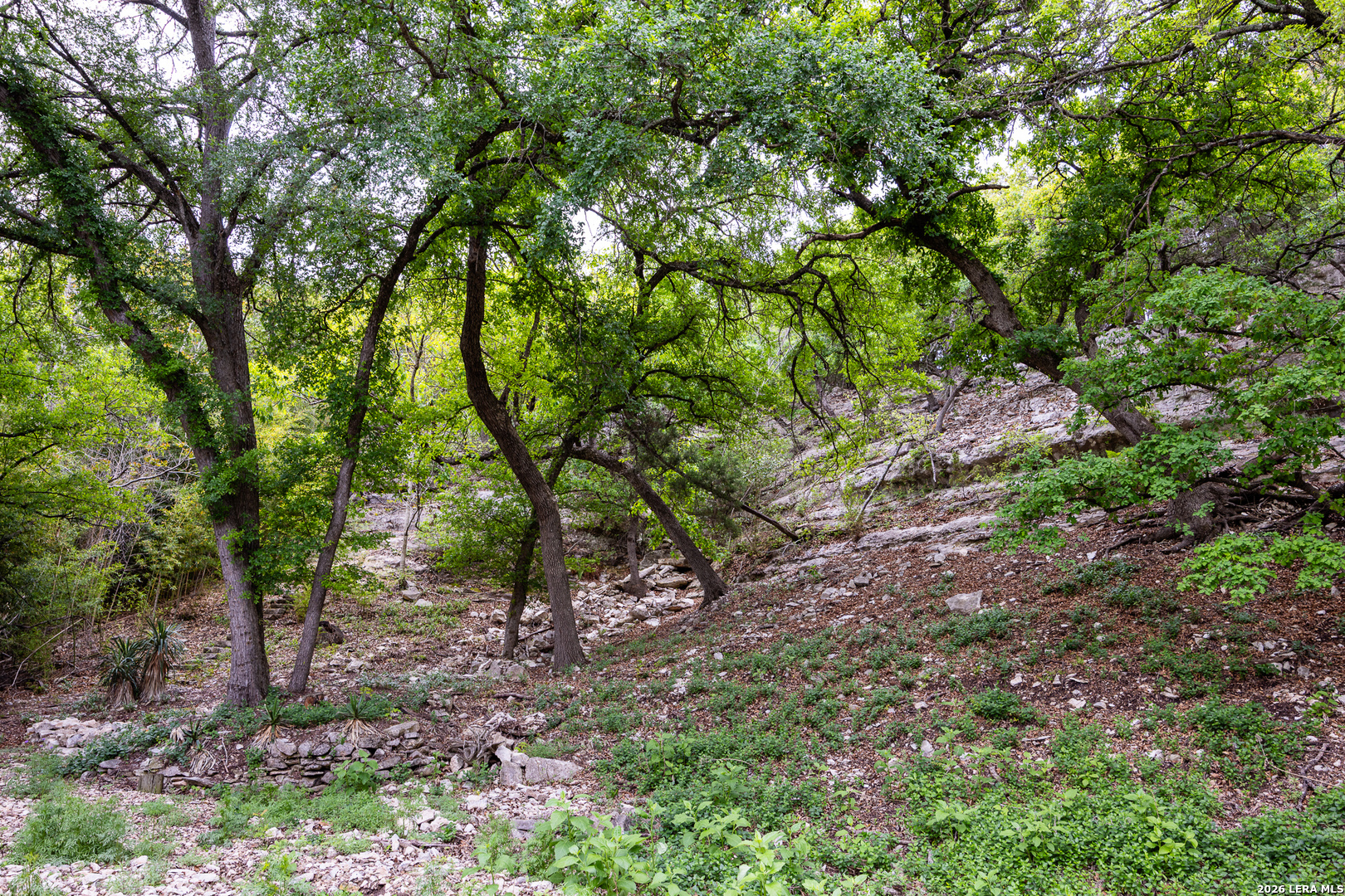 2985 Highway 39 Hunt TX 78024