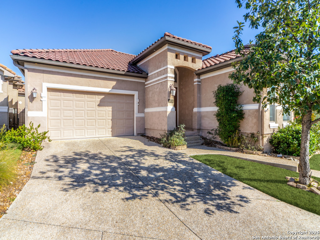 19538 Brooke Place San Antonio TX 78258