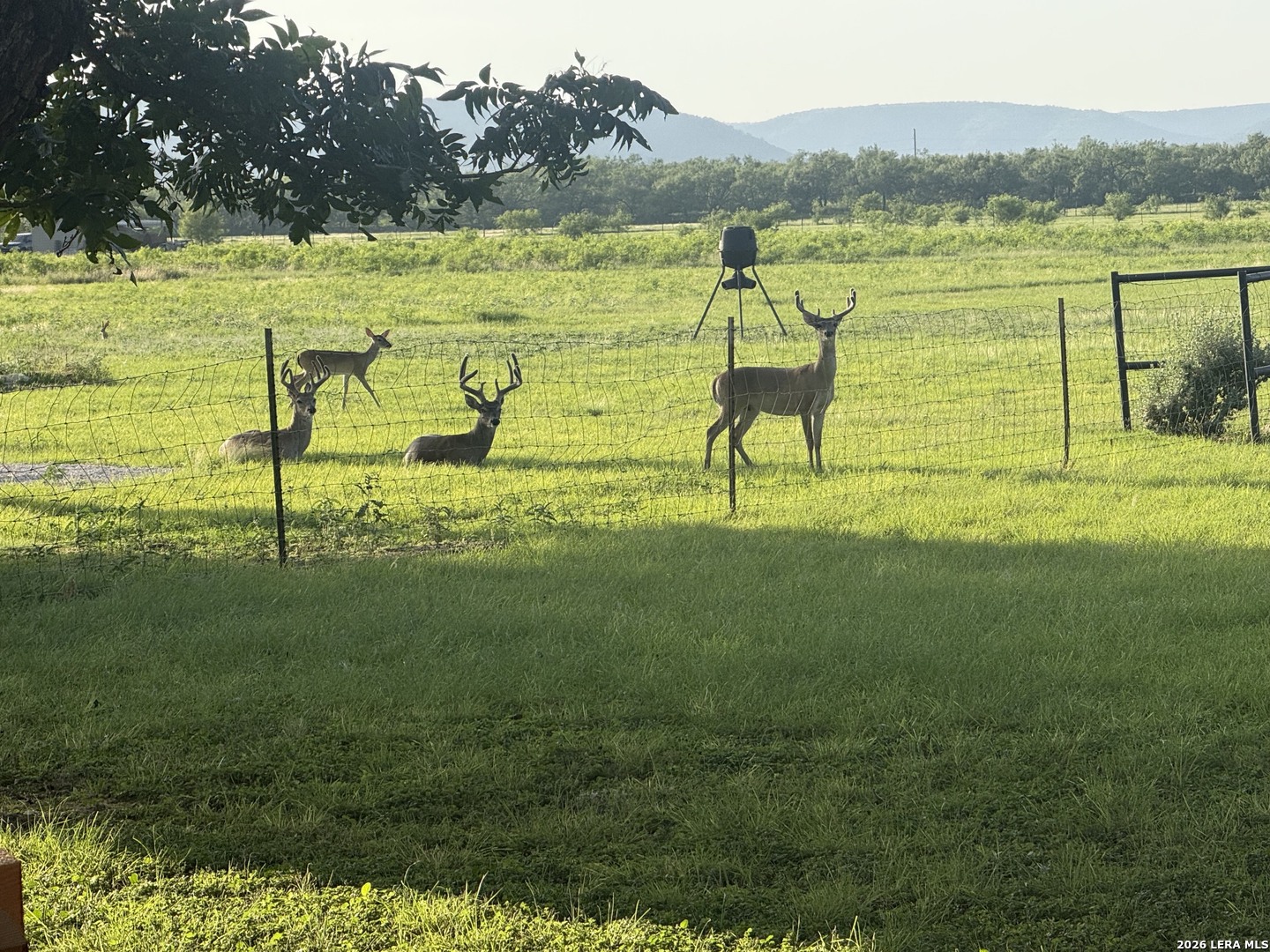 809 Rivertree Road Leakey TX 78873