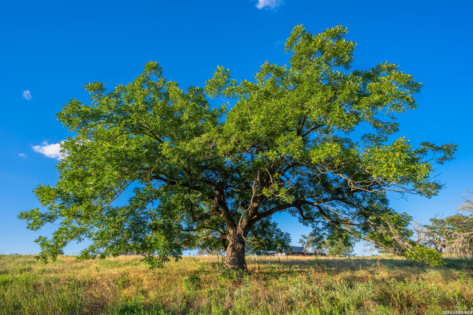 625 Triple Creek Road Fredericksburg TX 78624