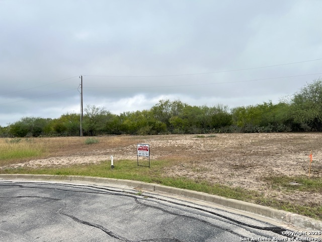 2209 Vista Bonita Three Rivers TX 78071