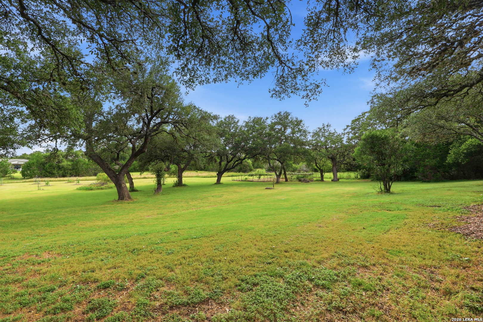 226 Lost Creek Drive Bulverde TX 78163