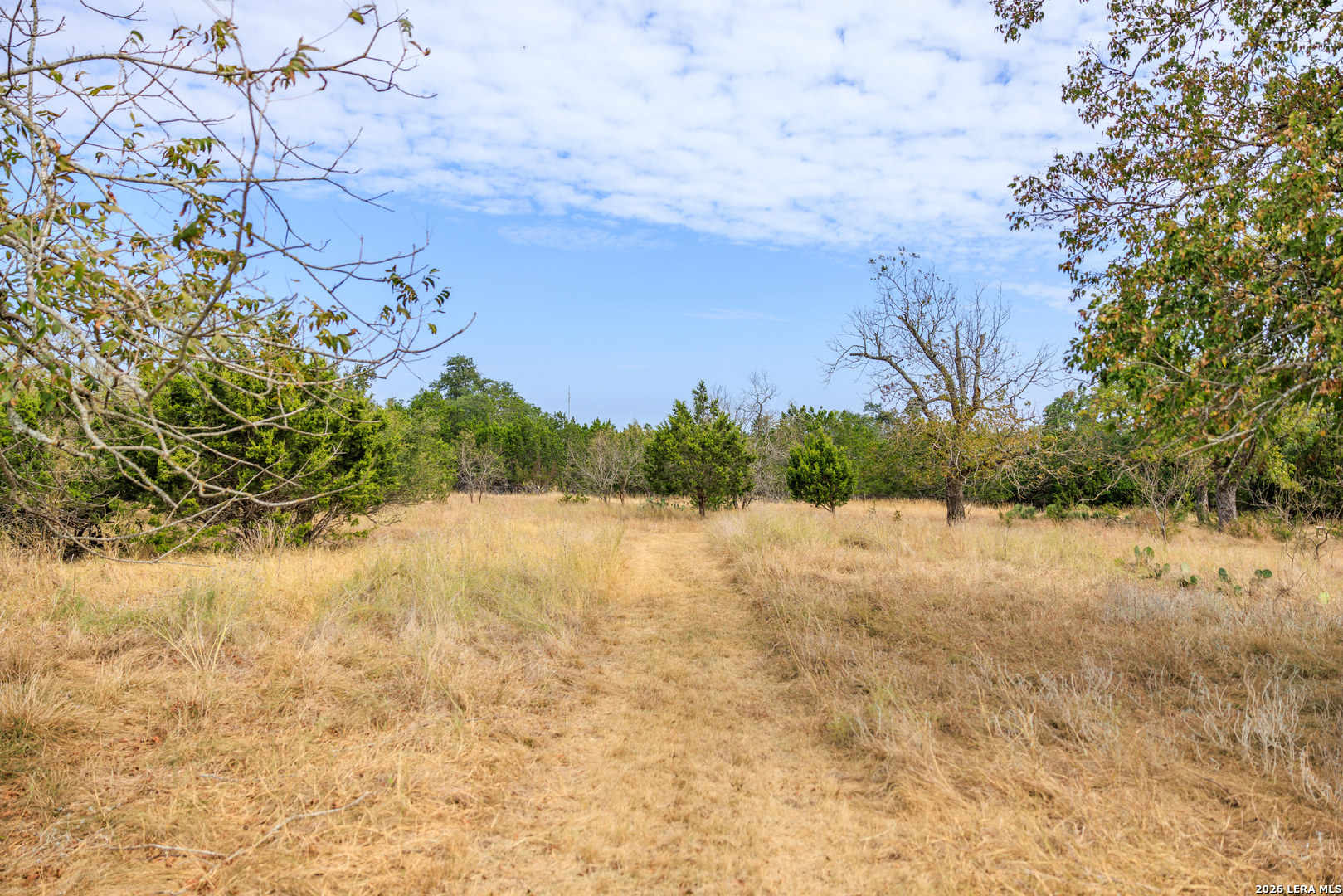 957 Cedar Hills Fredericksburg TX 78624