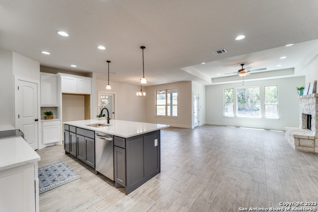 130 Frank Jones Blanco TX 78606