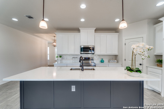130 Frank Jones Blanco TX 78606