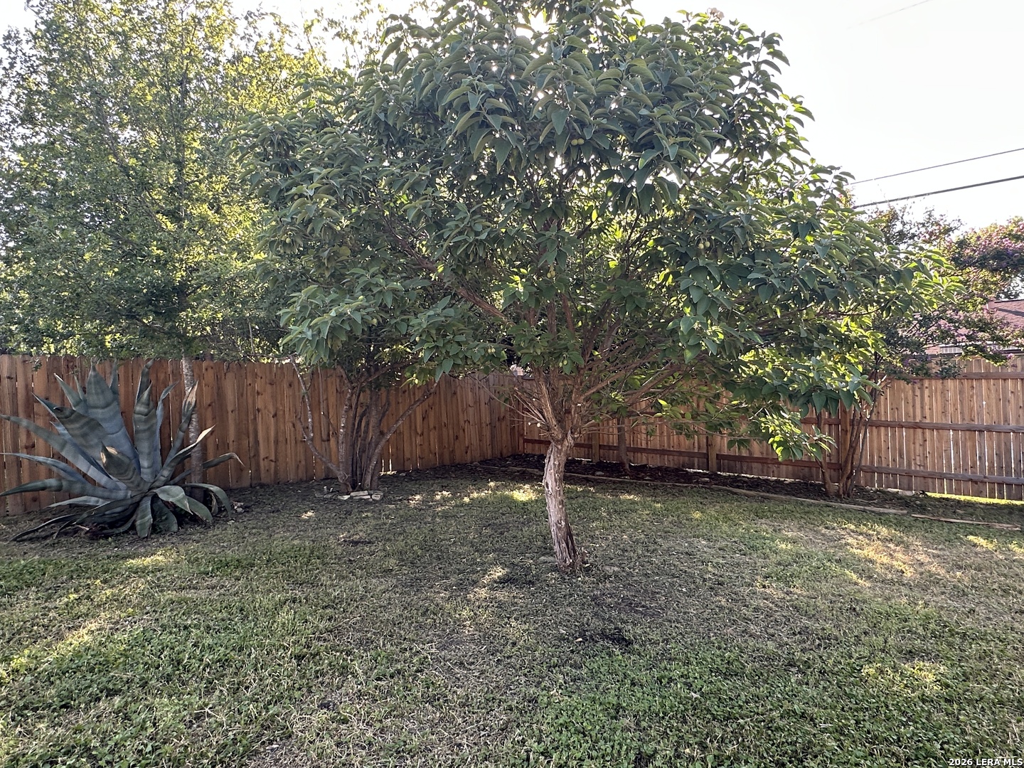 3007 Samar Drive San Antonio TX 78217