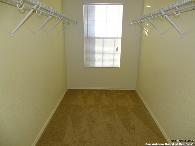 153 Hinge Chase Cibolo TX 78108
