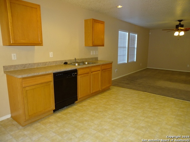 153 Hinge Chase Cibolo TX 78108