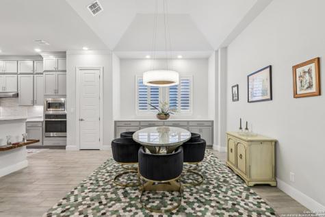 22911 Grande Vista San Antonio TX 78261