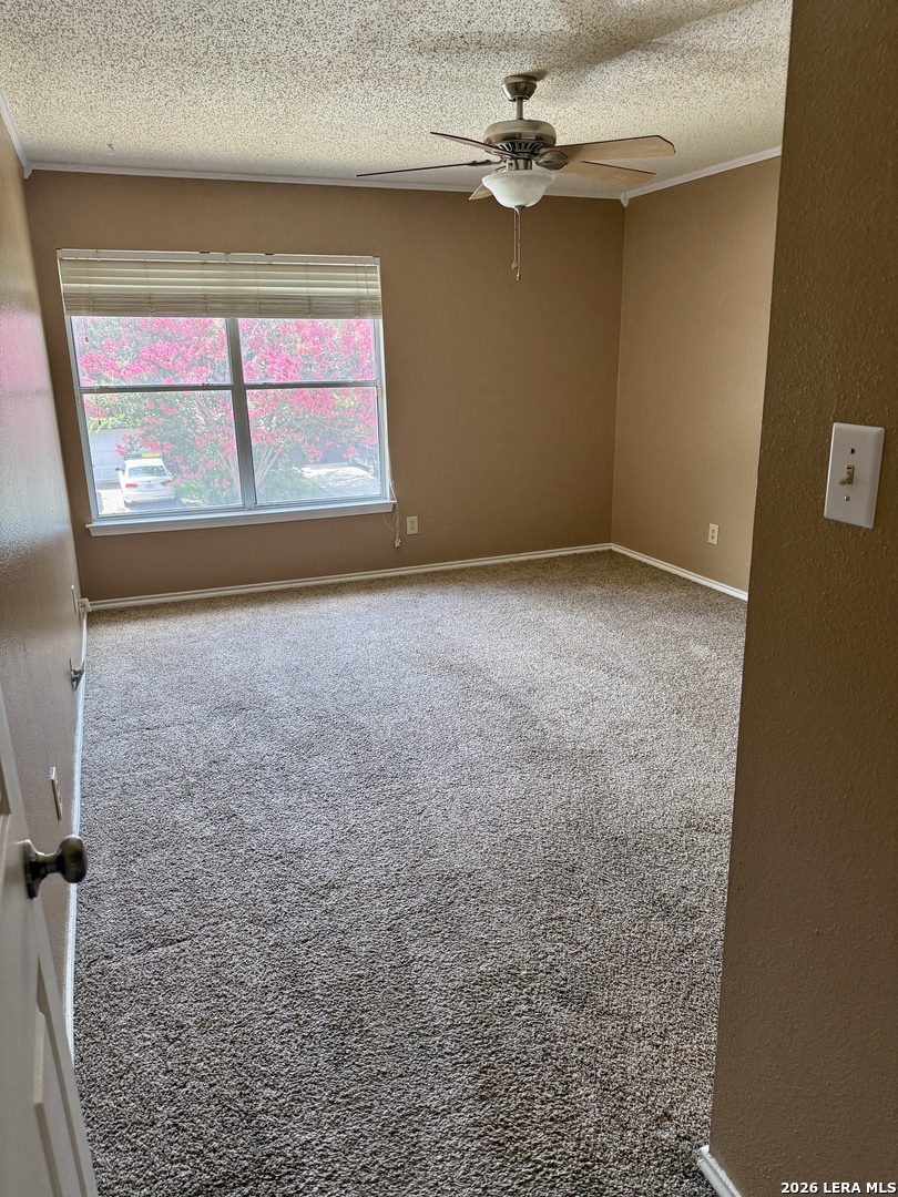1644 Jasmine Schertz TX 78154
