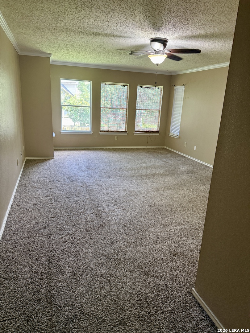 1644 Jasmine Schertz TX 78154