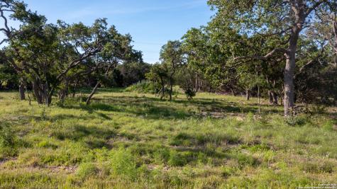 739 Maximino Ridge Road Bulverde TX 78163