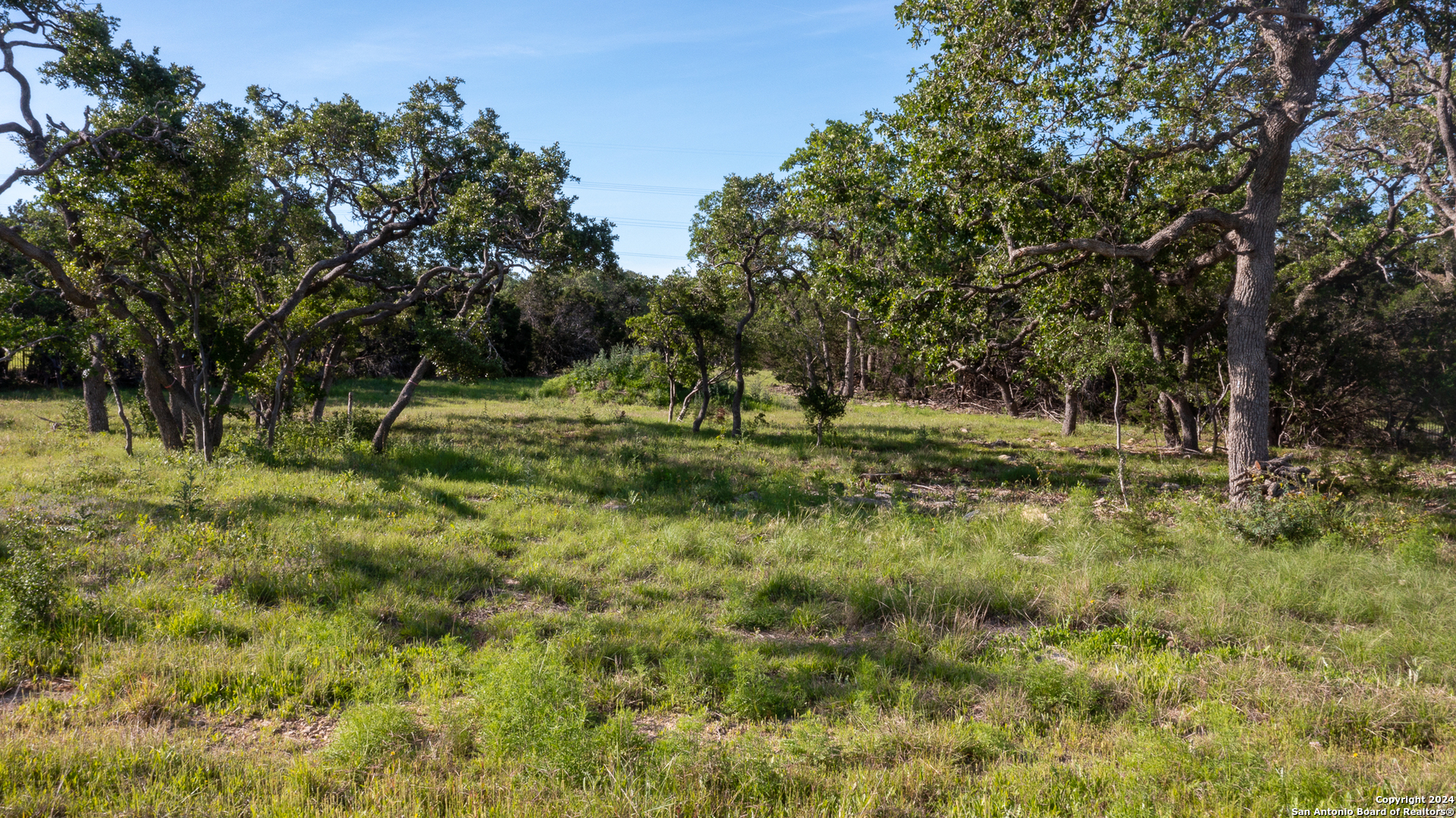 739 Maximino Ridge Road Bulverde TX 78163