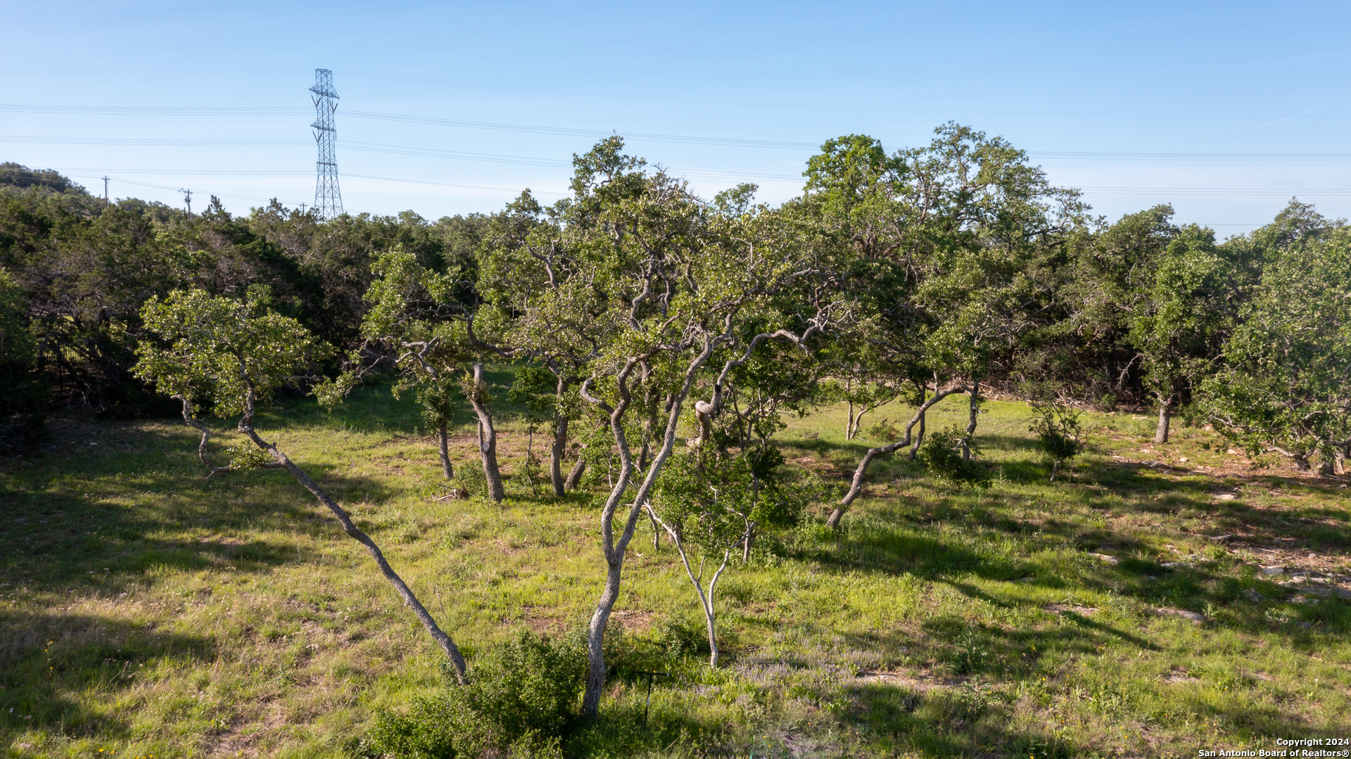 739 Maximino Ridge Road Bulverde TX 78163