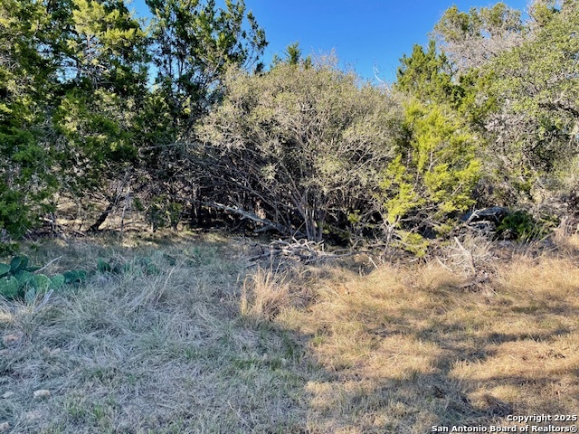 Lot 85 Pr 1518 Bandera TX 78003