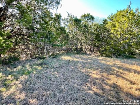Lot 85 Pr 1518 Bandera TX 78003