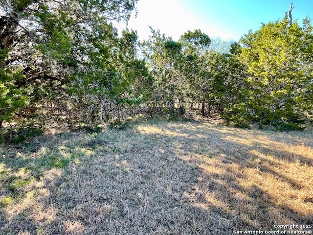 Lot 85 Pr 1518 Bandera TX 78003