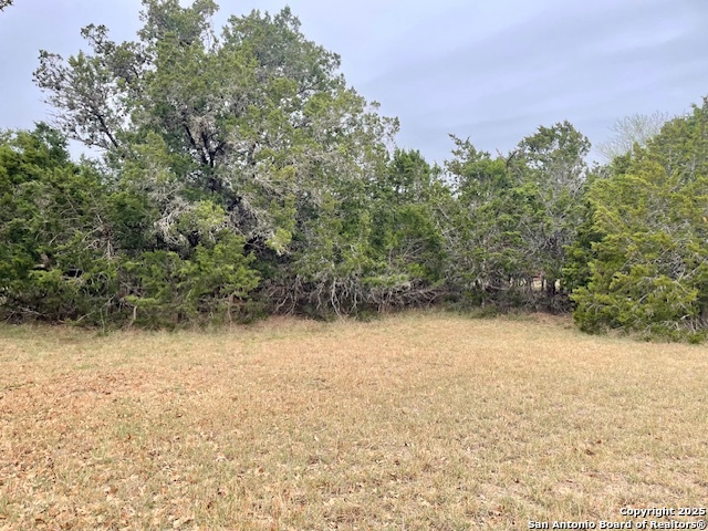 Lot 85 Pr 1518 Bandera TX 78003