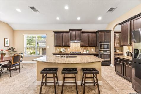 32317 Lavender Cove Bulverde TX 78163