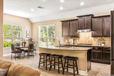 32317 Lavender Cove Bulverde TX 78163
