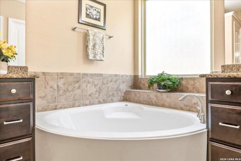 32317 Lavender Cove Bulverde TX 78163