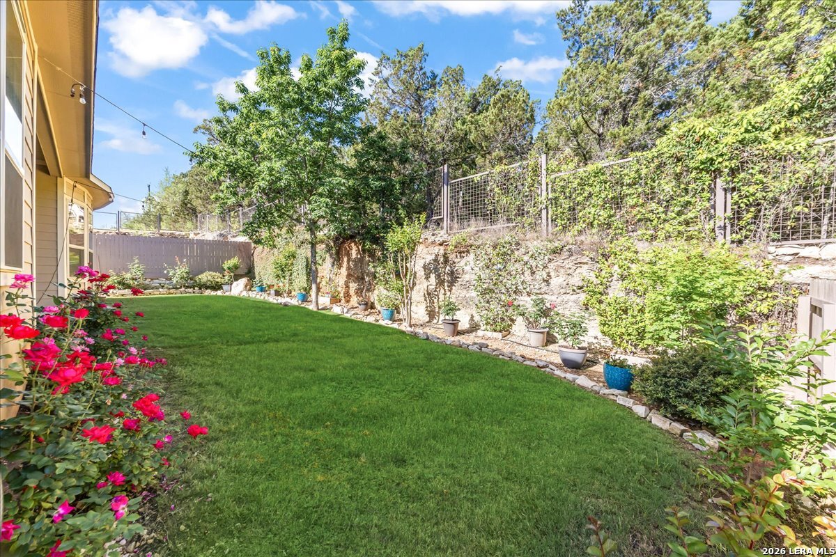 32317 Lavender Cove Bulverde TX 78163