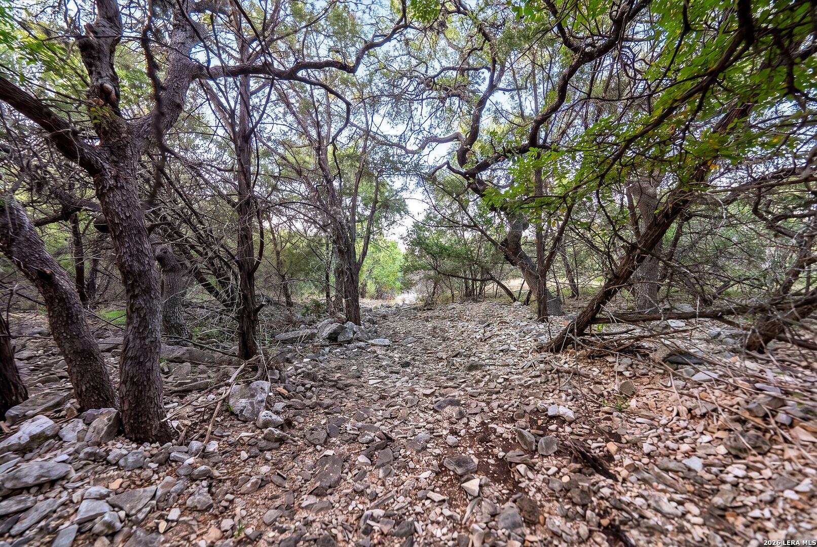 719 Walder Trail San Antonio TX 78260