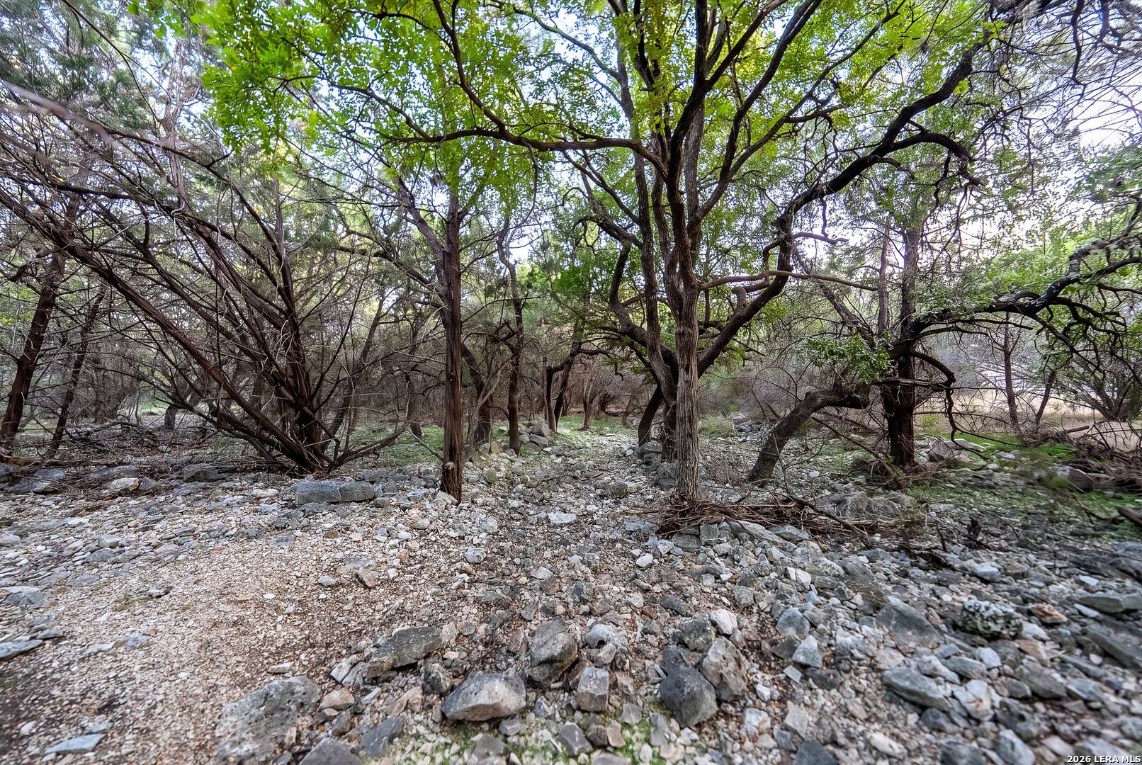 719 Walder Trail San Antonio TX 78260