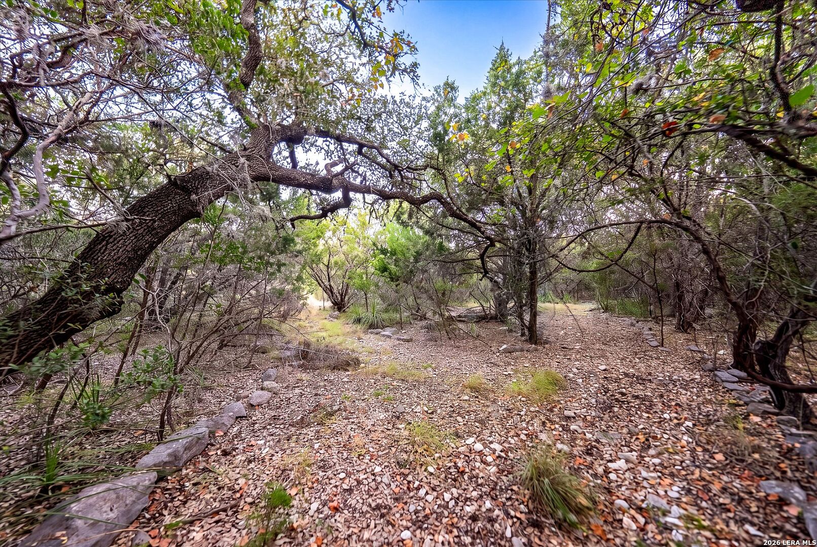 719 Walder Trail San Antonio TX 78260