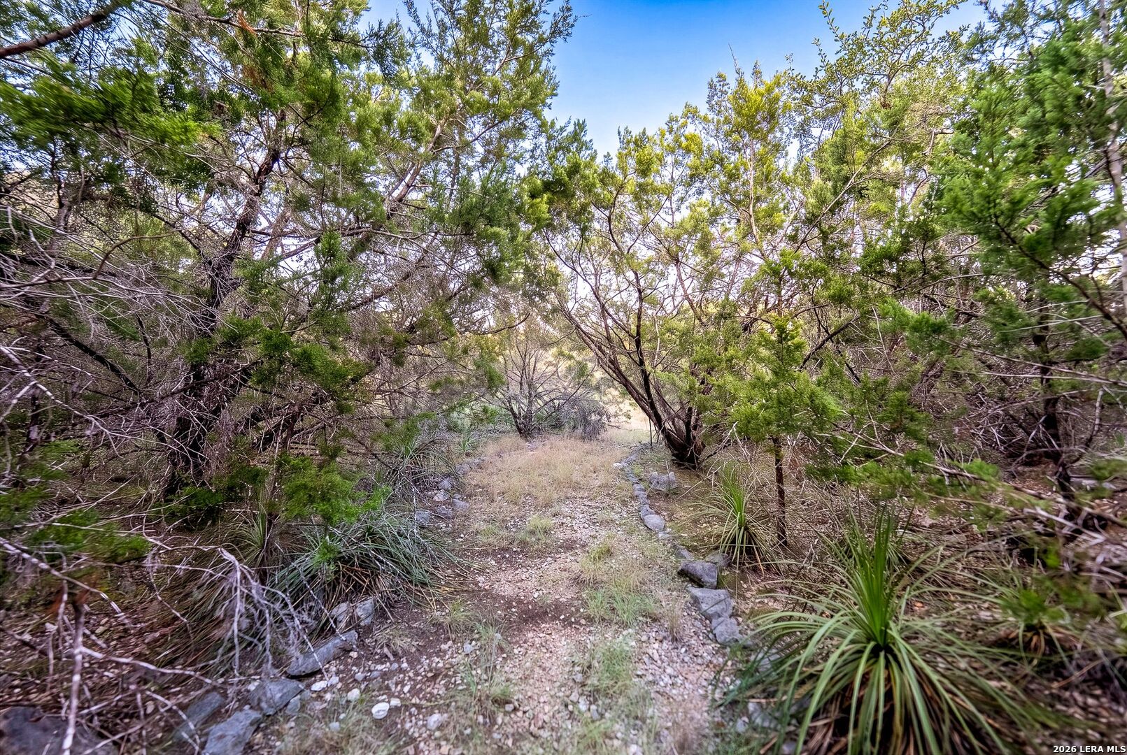 719 Walder Trail San Antonio TX 78260