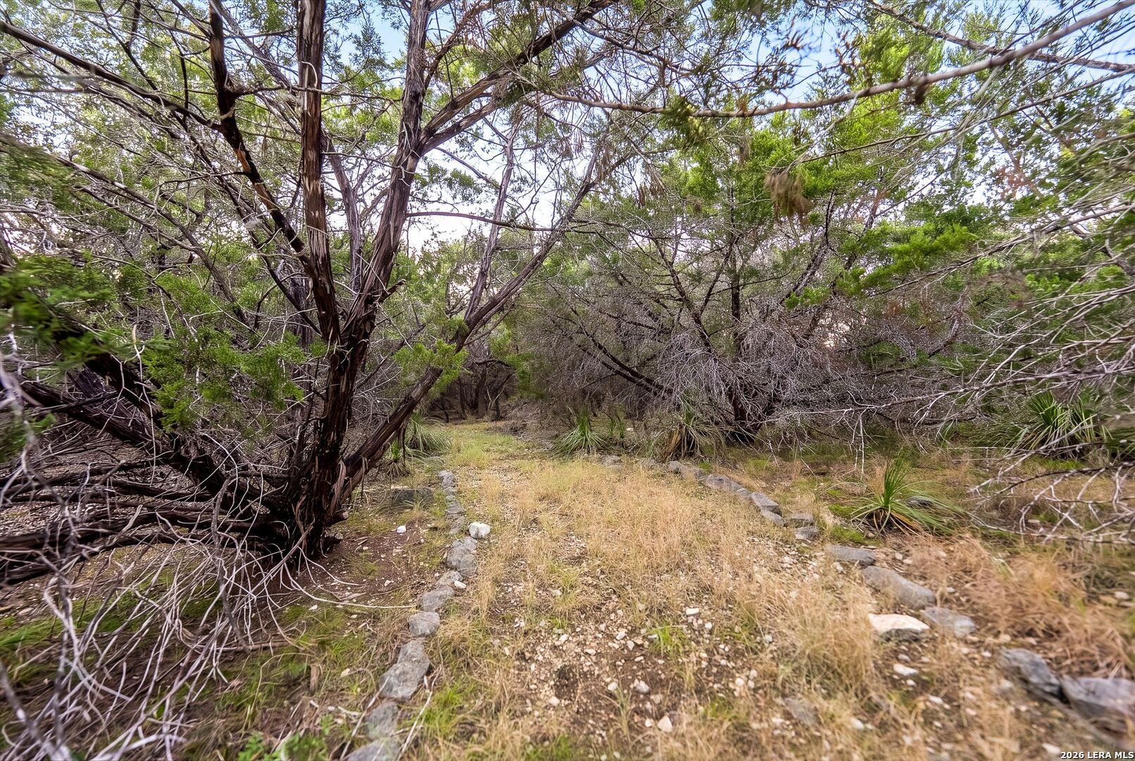 719 Walder Trail San Antonio TX 78260