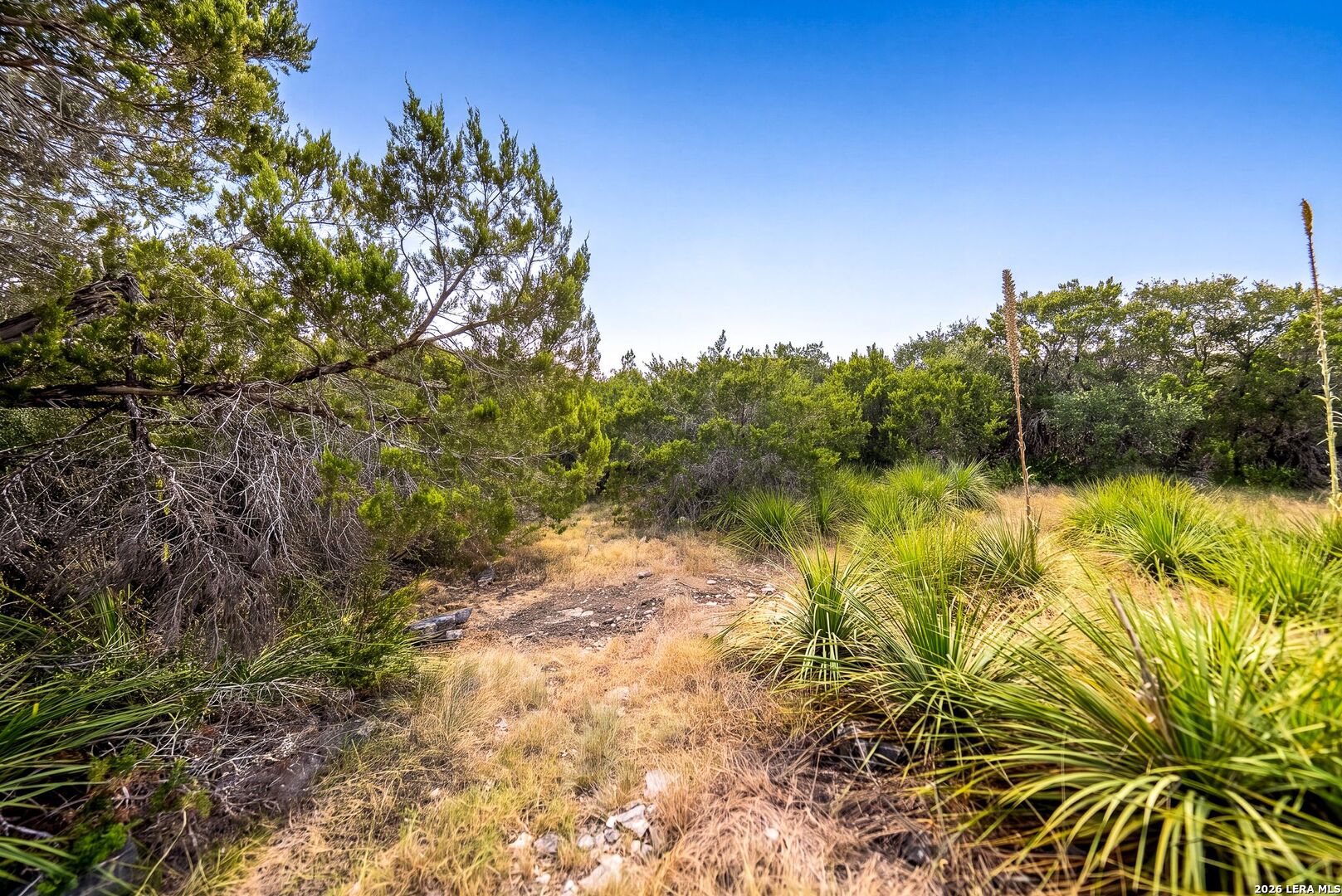 719 Walder Trail San Antonio TX 78260