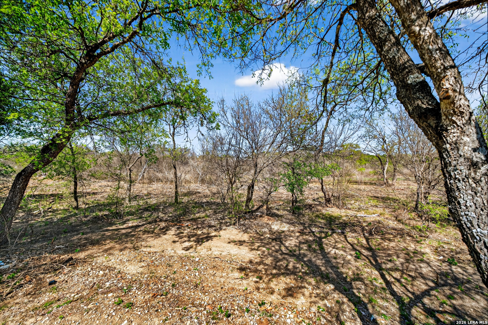 12834 Hush San Antonio TX 78245