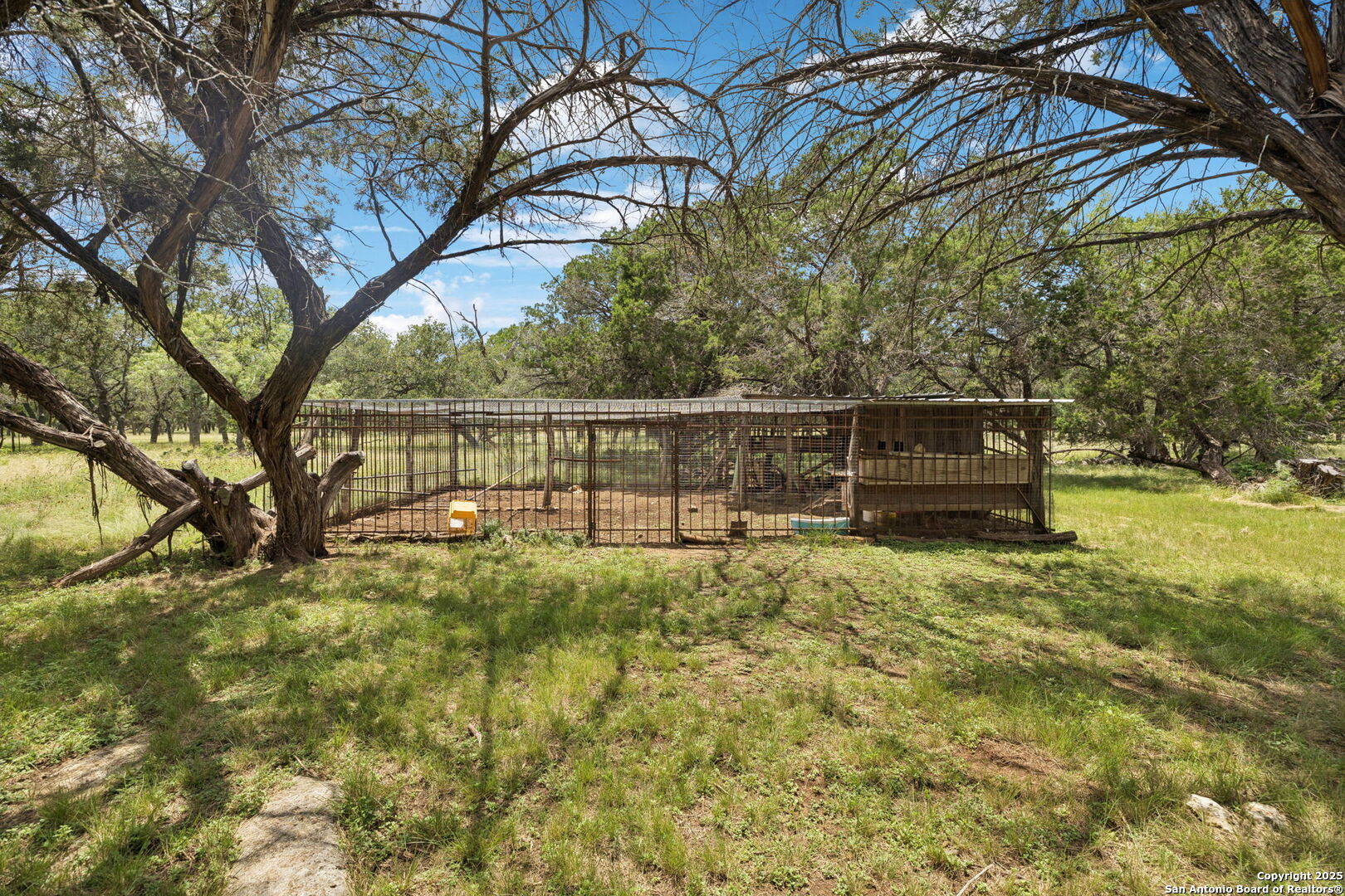 450 Georg Oaks Bulverde TX 78163