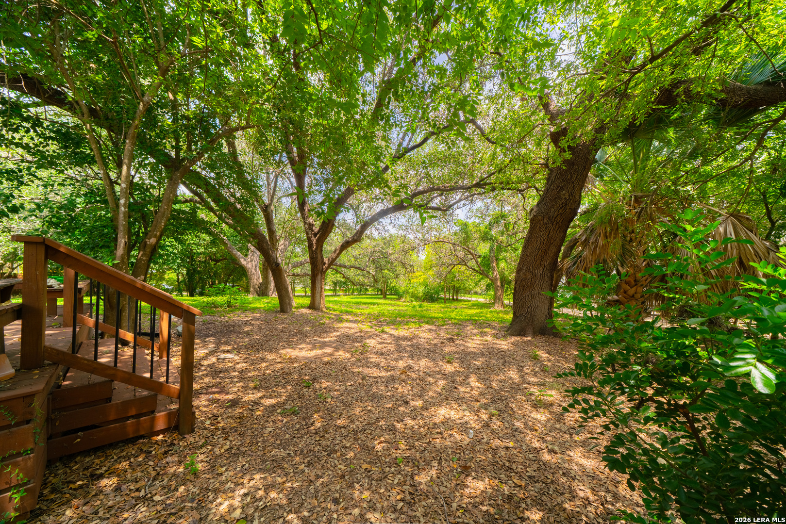 7010 Dorothy Louise San Antonio TX 78229