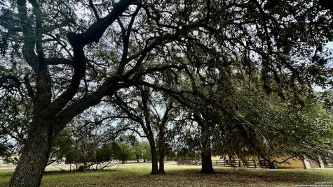 000 Tawny Oak Bandera TX 78003