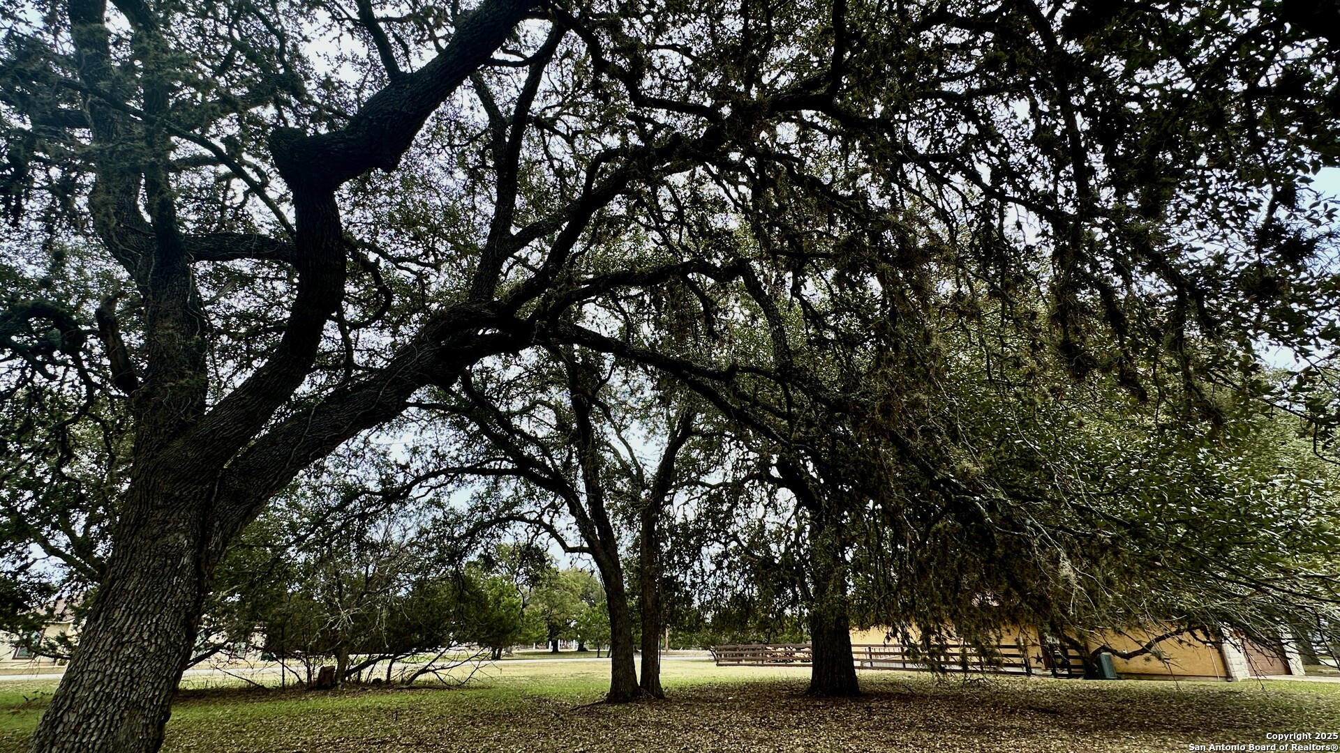 000 Tawny Oak Bandera TX 78003
